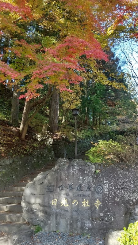 日光紅葉