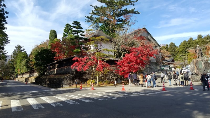 日光山輪王寺の三佛堂ともみじ