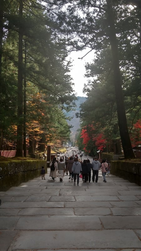日光東照宮の参道