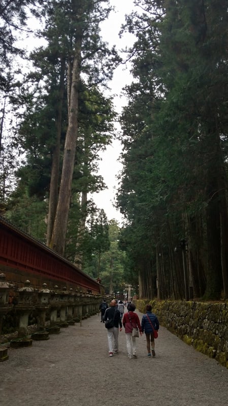 二荒山神社の参道