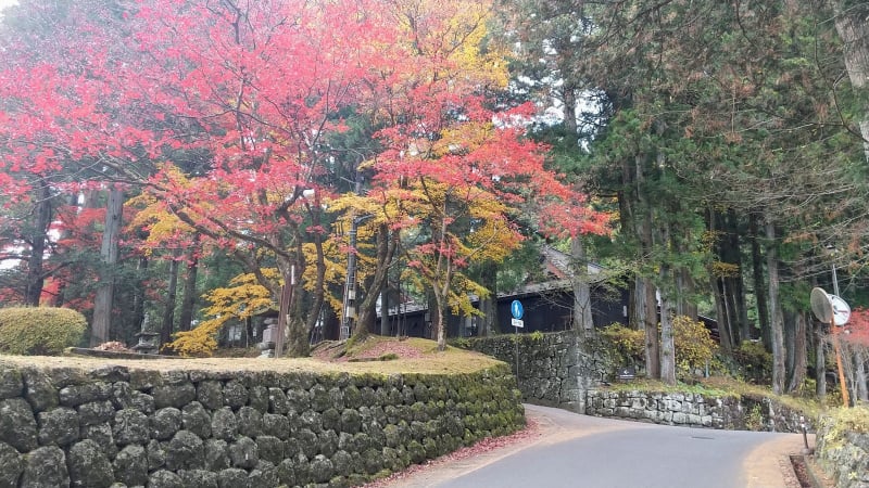 日光の紅葉