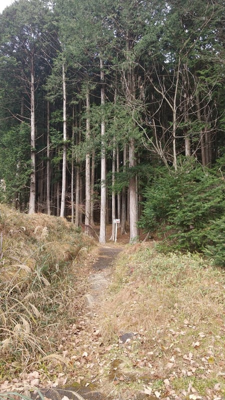 外山登山口