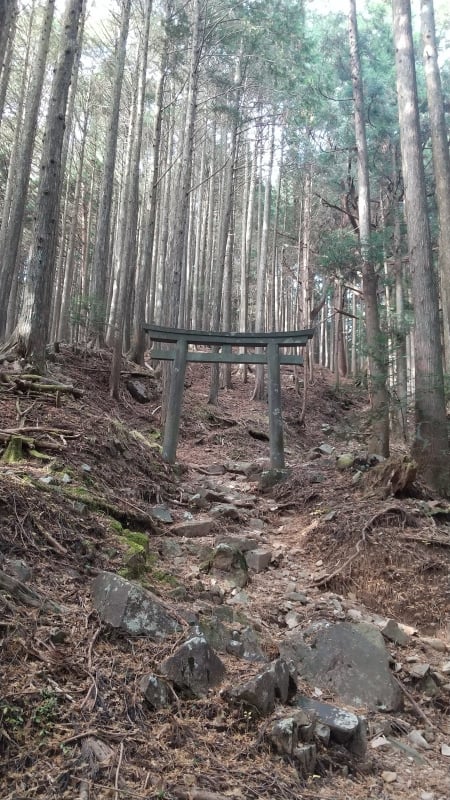 外山登山道の鳥居