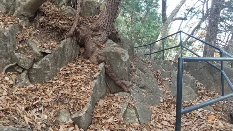 外山登山道の岩