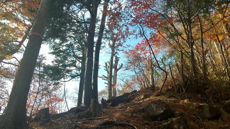 外山登山道