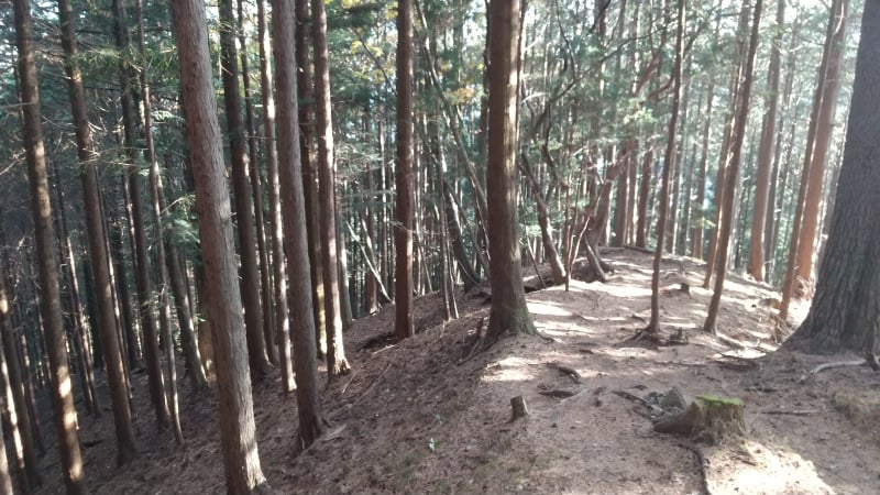 外山登山道