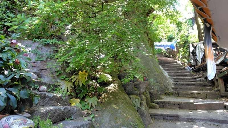 猫の細道