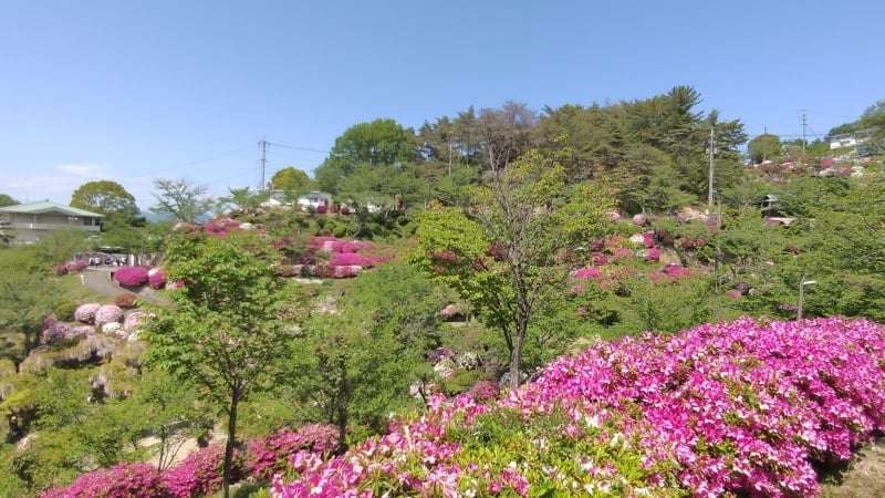 千光寺公園