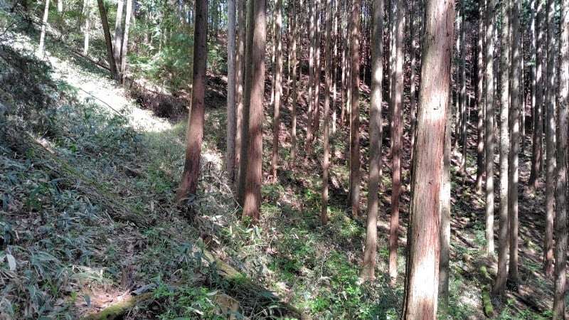 滝山登山道