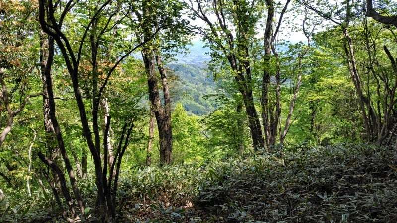 滝山山頂からの展望
