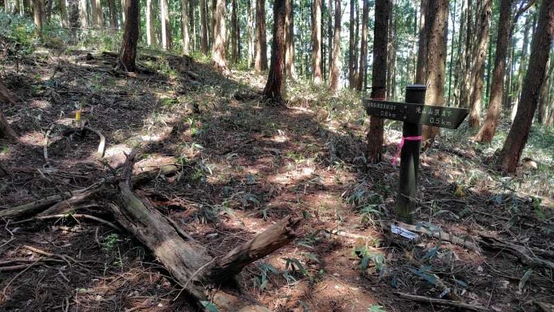 滝山山頂と鉄塔展望地の分岐ポイント