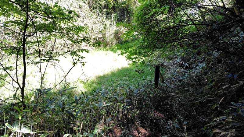 滝山登山口まで下山