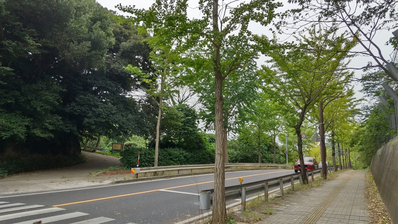 秦山から飯山へ