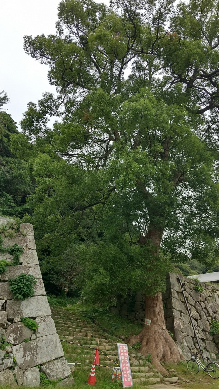 米子城二の丸表御門跡