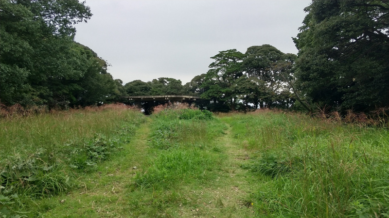 内膳丸があった丸山の山頂