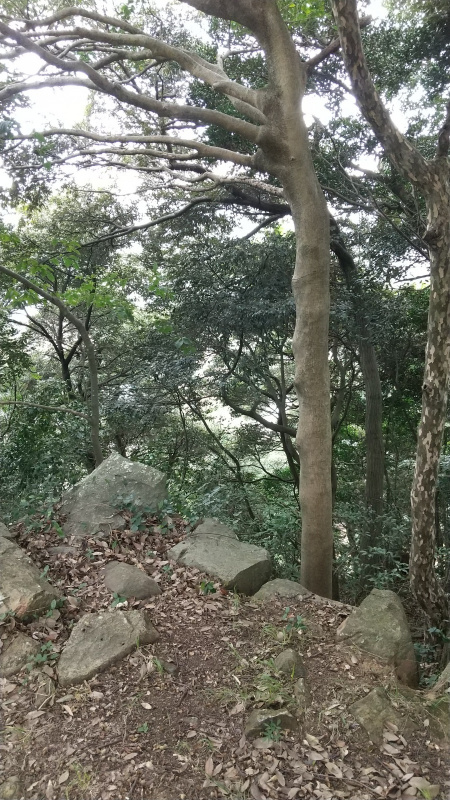 内膳丸の石垣