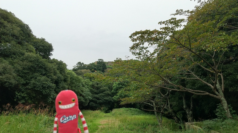 丸山山頂