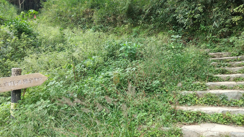 米子城石段